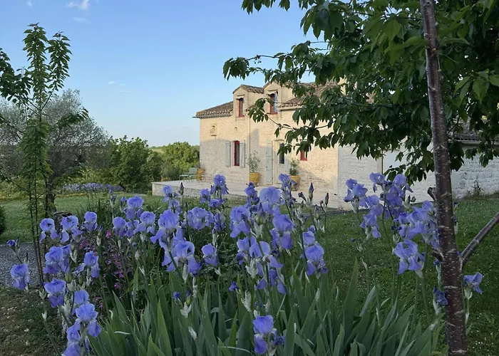 בית נופש Les Artals